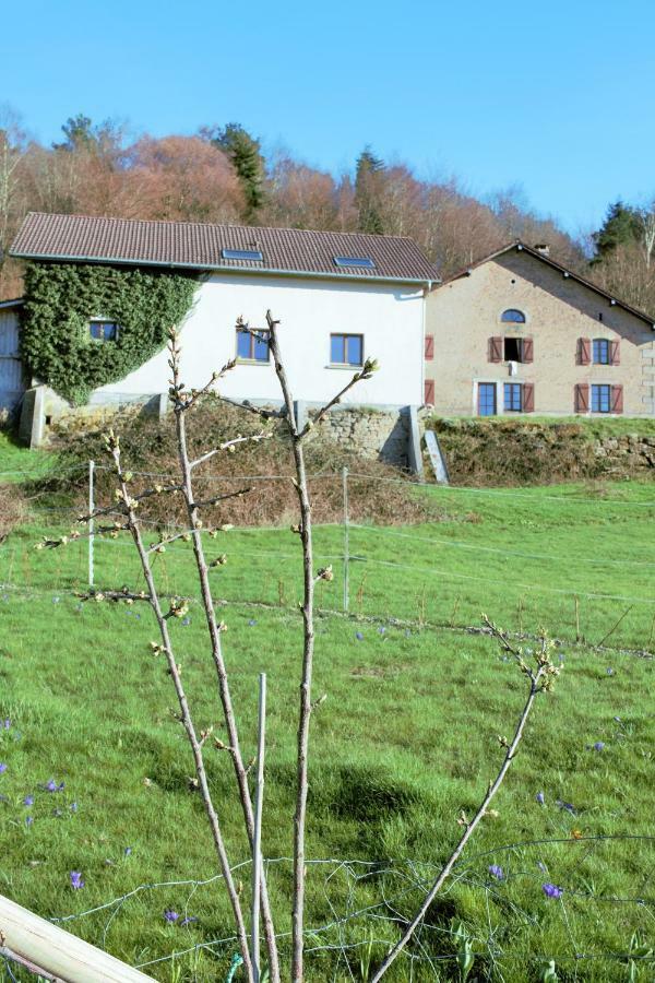 Au Temps De La Source Villa Raon-aux-Bois Eksteriør billede